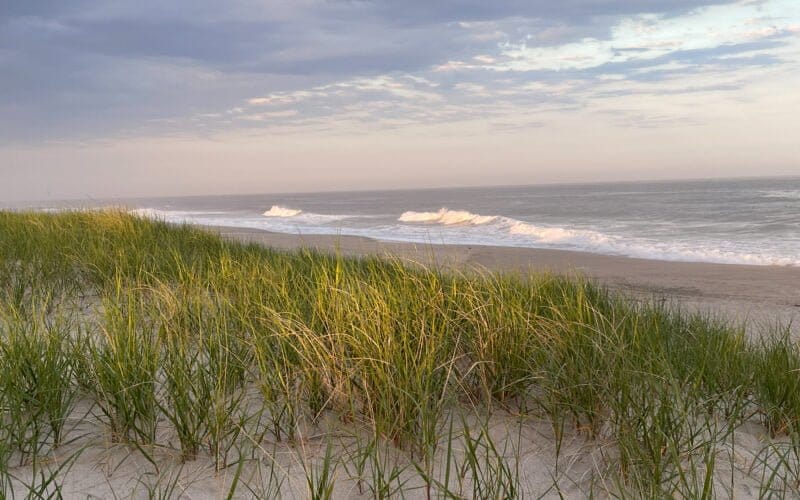 Top 5 Exercises to Do at the Beach