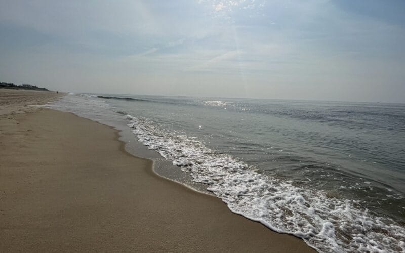 Now Booking Summer Sessions in the Hamptons!